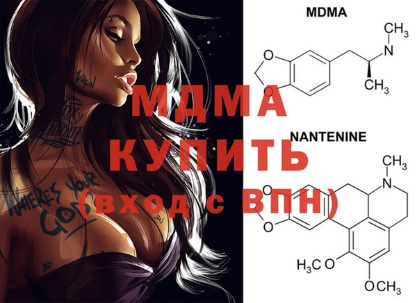 стафф Алексин